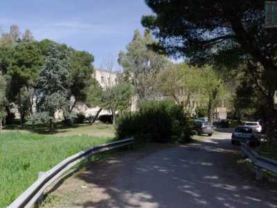Entrando dall'ingresso che si affaccia su strada Petrera ci troviamo davanti a un viale inghiottito da un fitto giardino che ci conduce verso l�imponente complesso